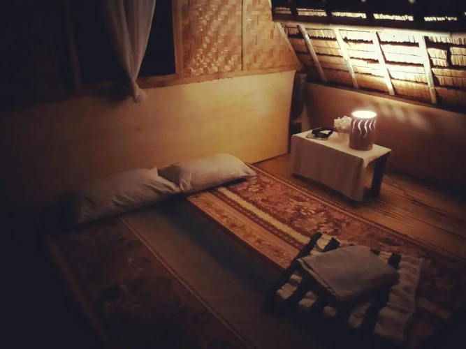 Lazy Lizard Hostel