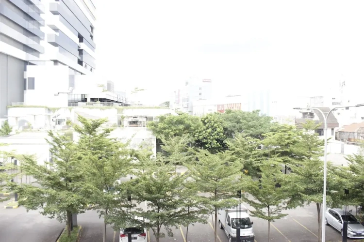 Outside