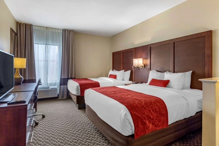 Quadruple Suite