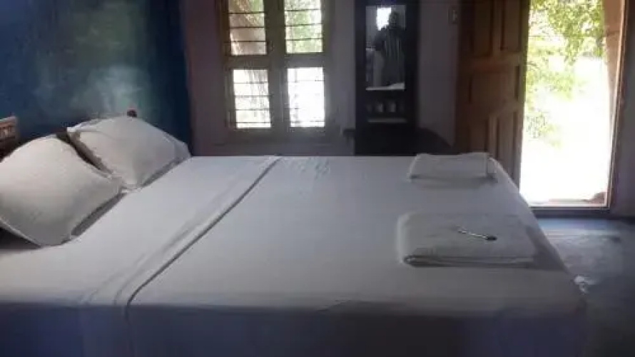 Paddy Homestay