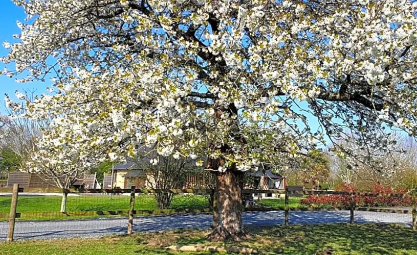 Aux murmures de la nature
