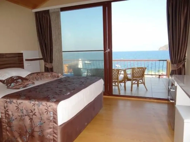 Standard Double room with balcony and with garden view