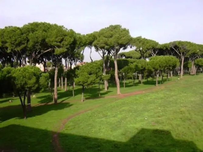 La Casa delle Peonie