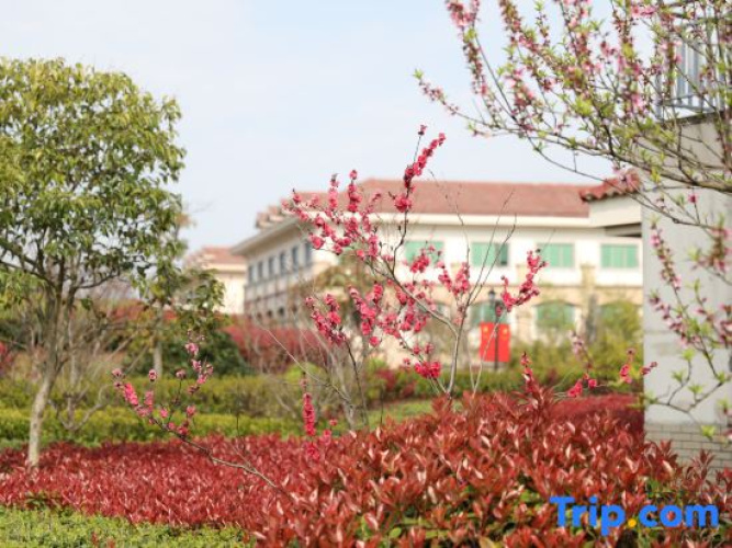 Guli Hotel