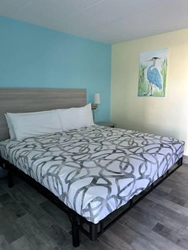 Deluxe Double Suite