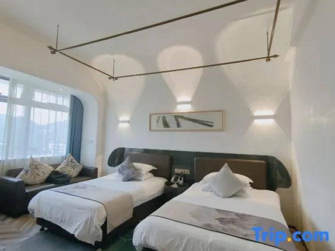 Deluxe Twin room with city view