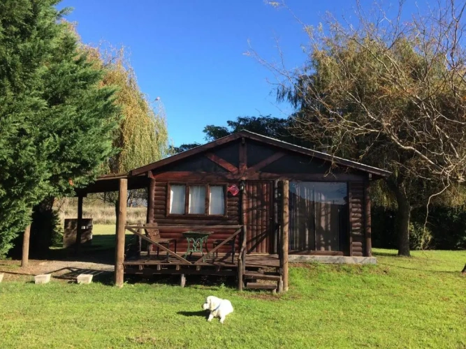 Family Bungalow