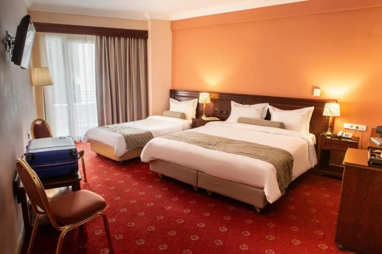 Standard Double room with balcony and with view