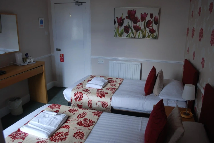 Standard Twin room with garden view