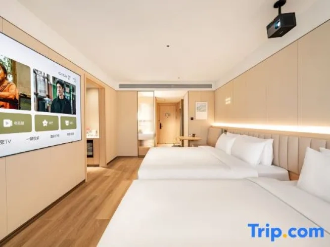 1 Bedroom Suite