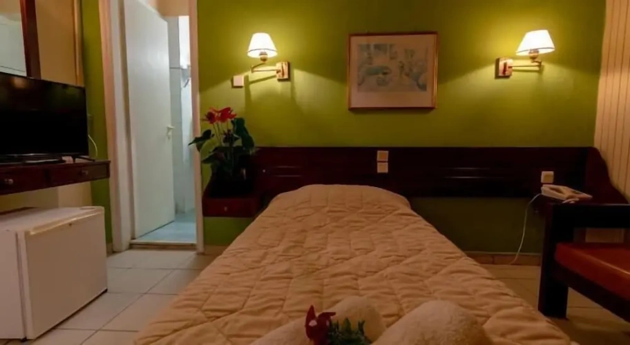 Standard Single room with mountain view