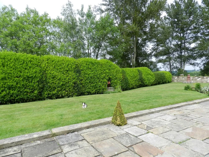 Woodbottom Farm