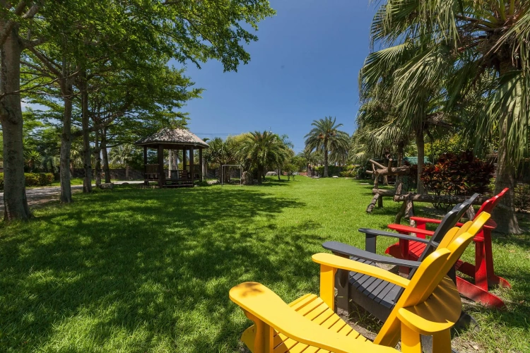 Standard Family room with view