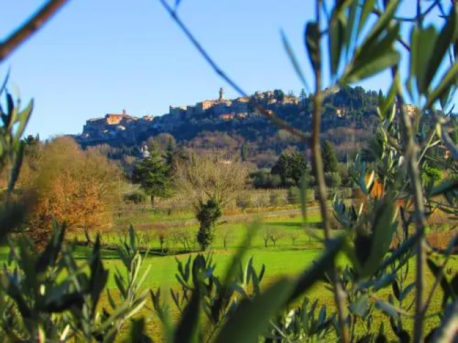Il Girasole Bed & Breakfast