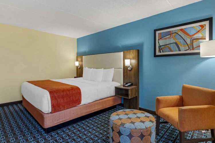 1 Bedroom Standard Double room