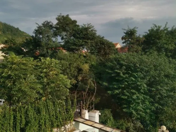 Outside