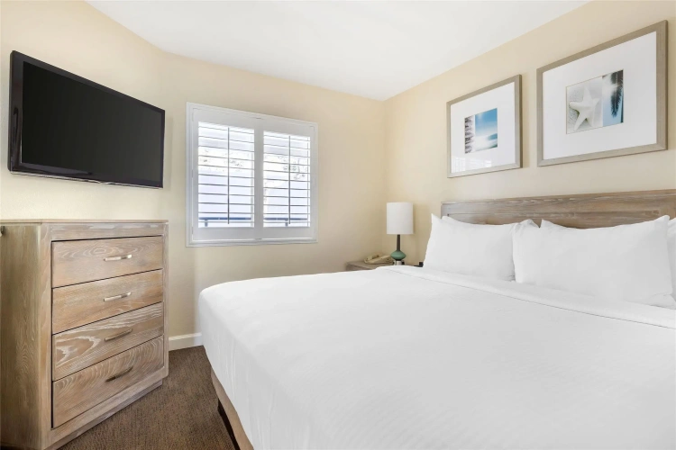 1 Bedroom Standard Double room with ocean view