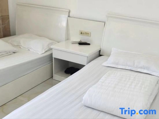 Z+ Da Fuhao Hotel (Taixing Road)