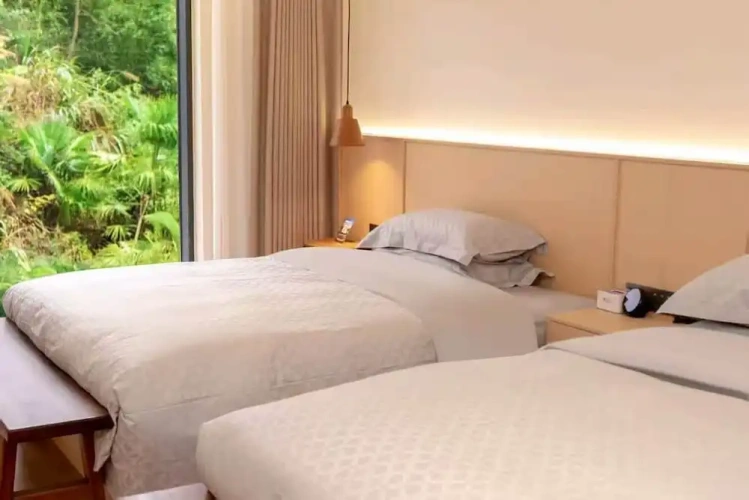Premium Suite with courtyard view