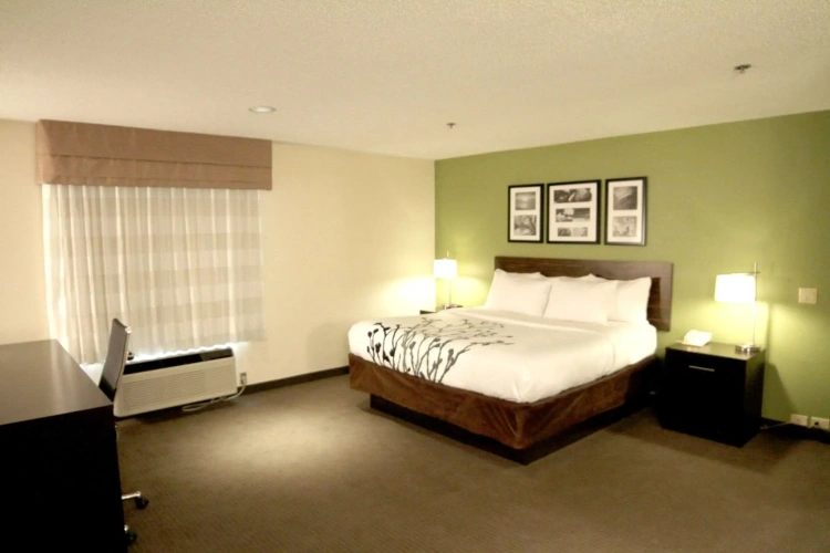 Standard Double room