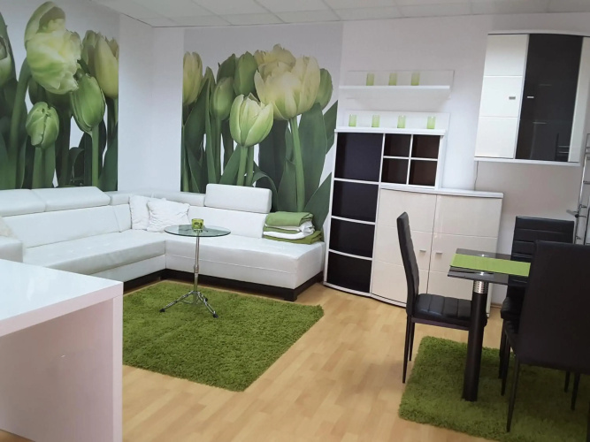 DELUX duplex apartment
