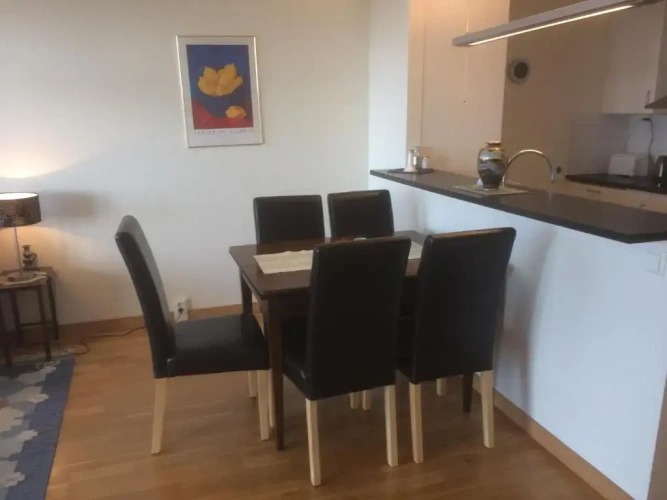 1 Bedroom Apartment