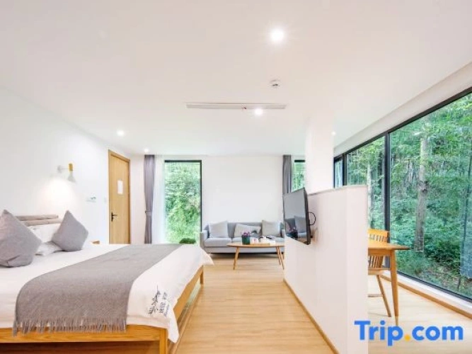 Standard Double room with courtyard view