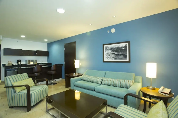 1 Bedroom Suite