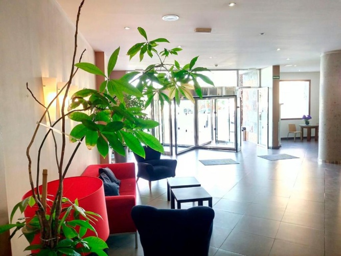 Ohtels Campo de Gibraltar photo 14