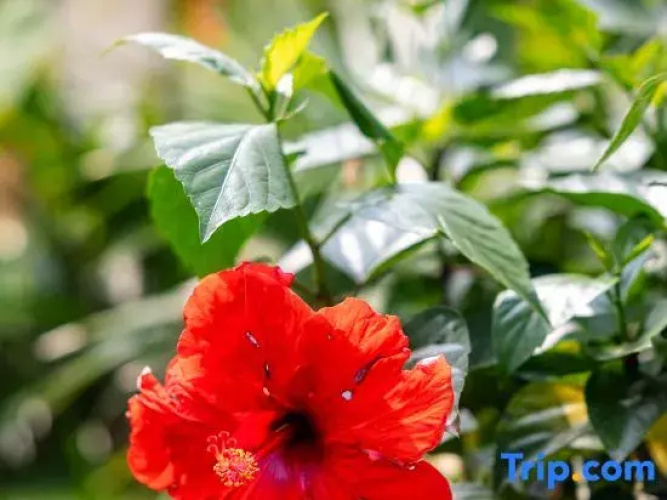 Scenic Mountain Ecolodge Ninh Binh
