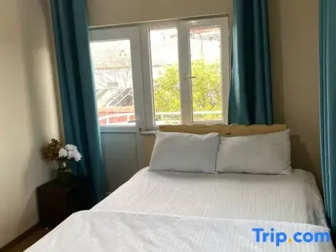 Standard Double room with garden view