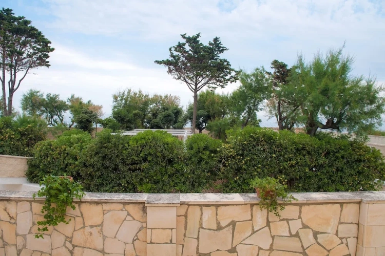 Economy Double room with sea view