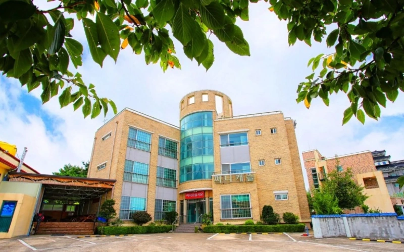 Donghae Sunny Castle Pension