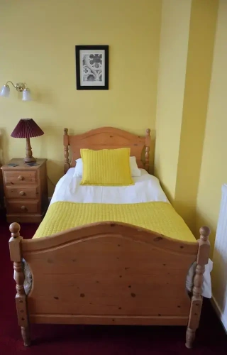Classic Single room with city view