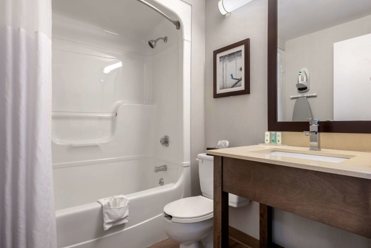 Quality Suites photo 10