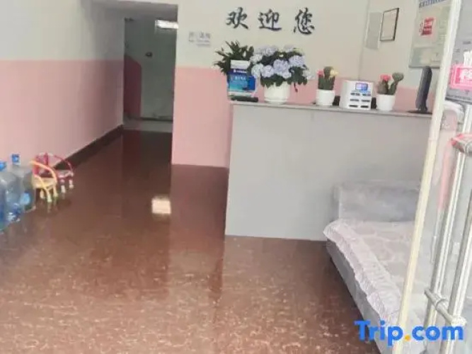 Venus Apartment