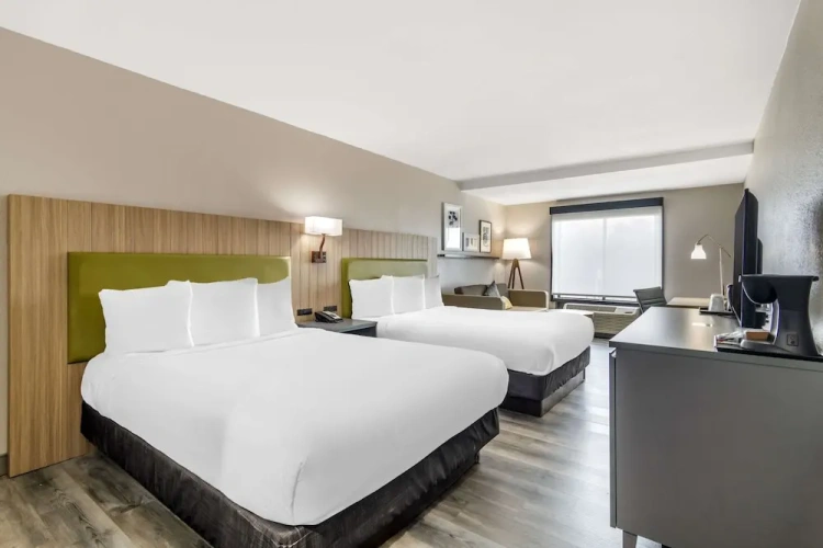 Quadruple Suite