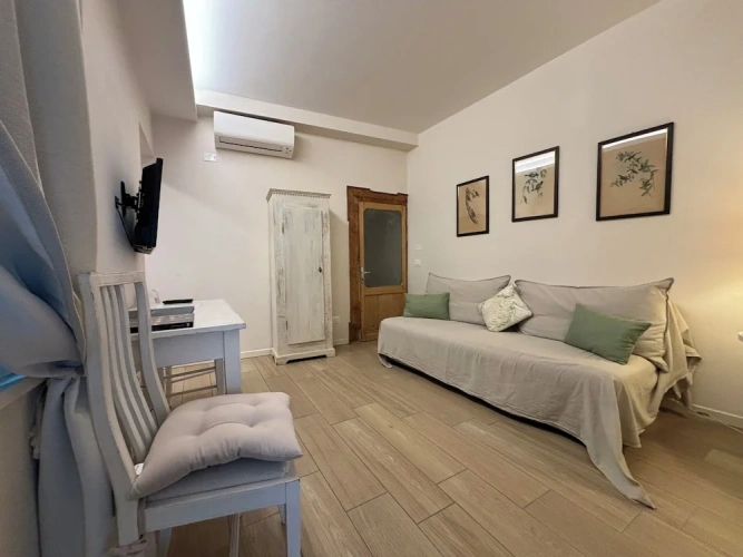 1 Bedroom Classic Apartment