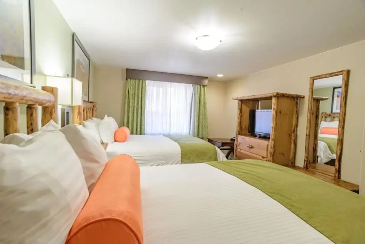 1 Bedroom Suite