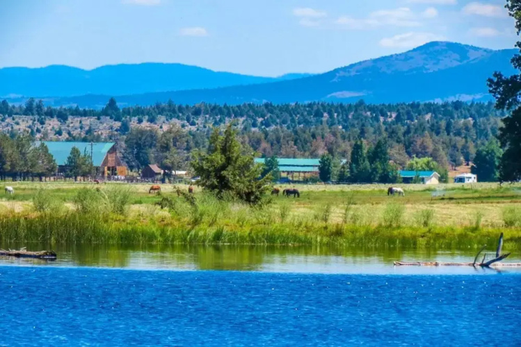 Long Hollow Guest Ranch