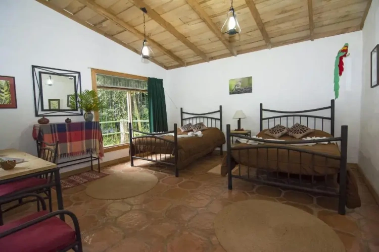Superior Twin room with garden view