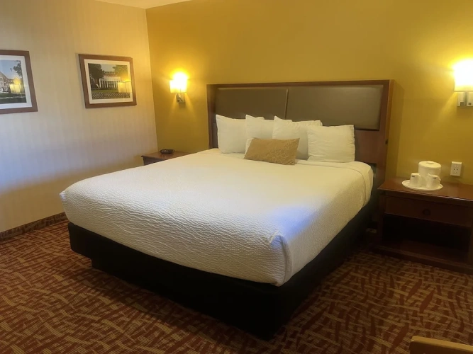 Economy Single room