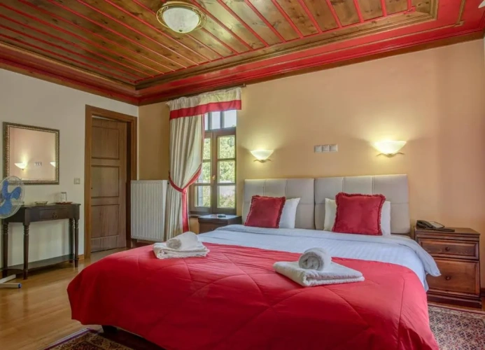 Standard Double room with mountain view