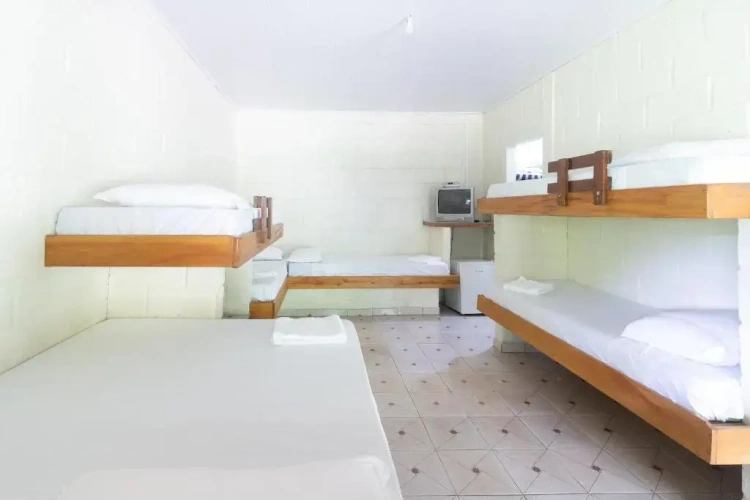 Standard Suite