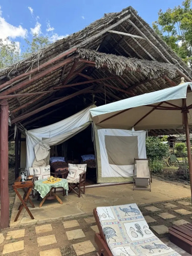 Buffalo's Rest