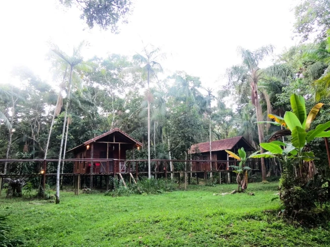 Standard Double room with mountain view