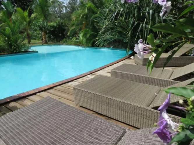 Monkey Lodge Panama