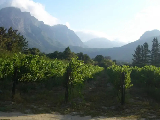 La Verdure Fruit Farm