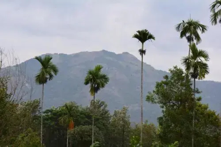 The mountain Resort