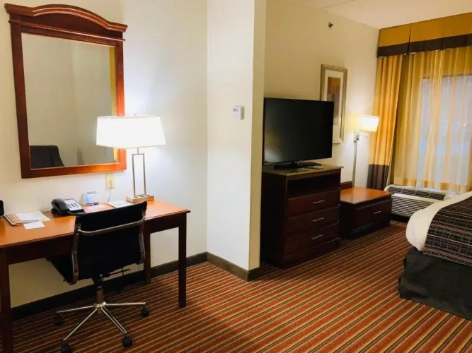 1 Bedroom Quadruple Suite